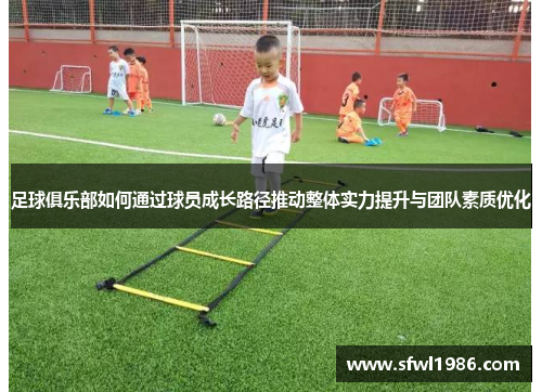 足球俱乐部如何通过球员成长路径推动整体实力提升与团队素质优化