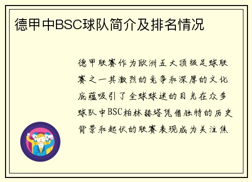 德甲中BSC球队简介及排名情况